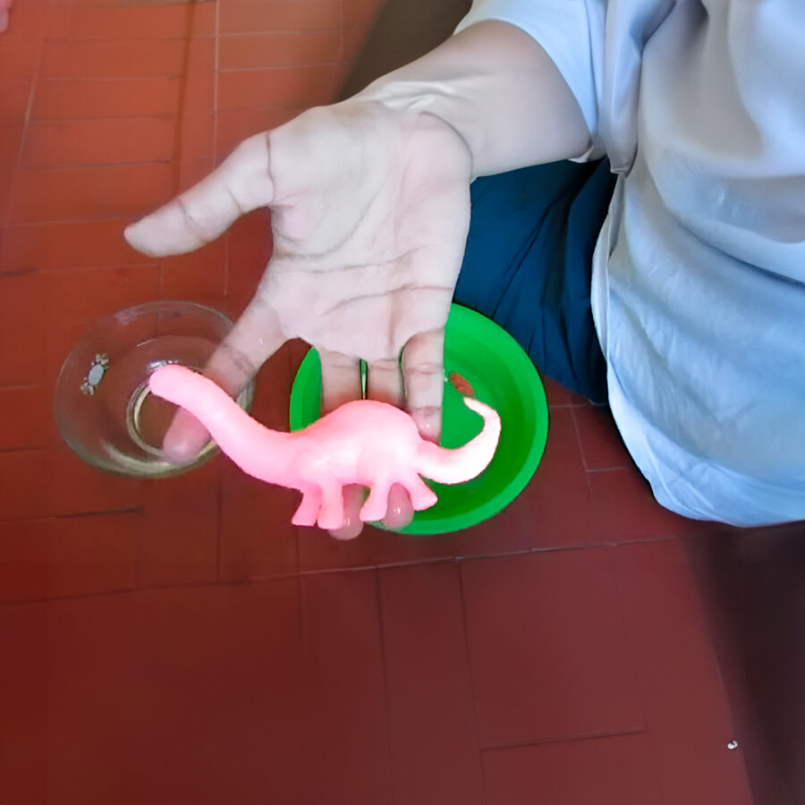 Dinossauro Cresce Na Água Gel Brinde Festa Brinquedo - Imagem 3